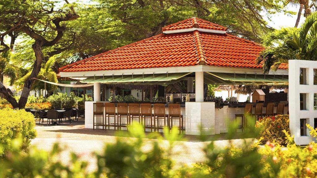 The Westin Aruba Resort (Adults Only) Palm Beach Exterior foto
